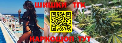 индика Тверь