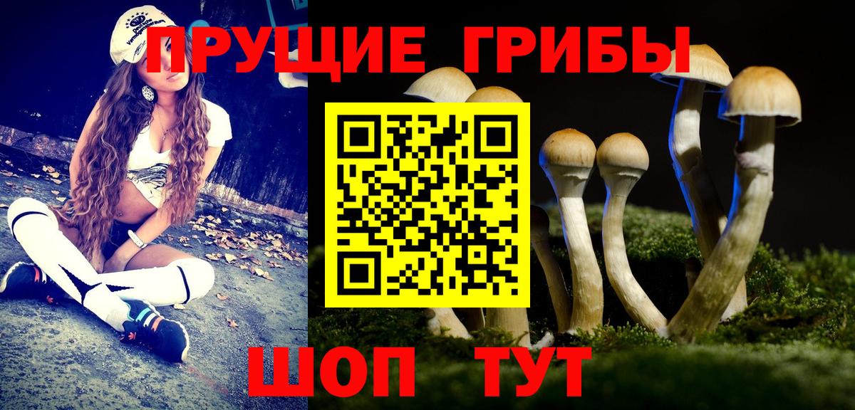 Псилоцибиновые грибы GOLDEN TEACHER Шарыпово