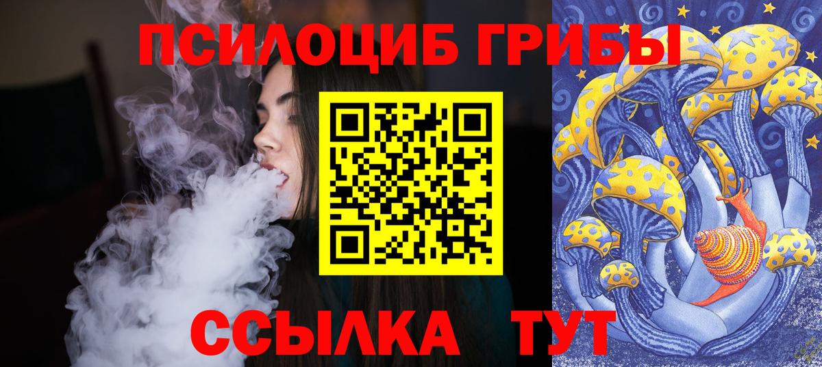 Шарыпово  Псилоцибиновые грибы Psilocybine cubensis  Вход с VPN 